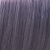 Pure Violet