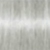 SILVER - plata