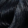 2/ negro