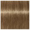8-06 rubio claro natural marron
